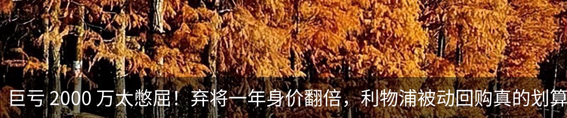 热点资讯