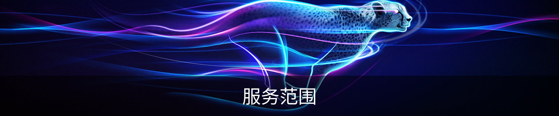 服务范围
